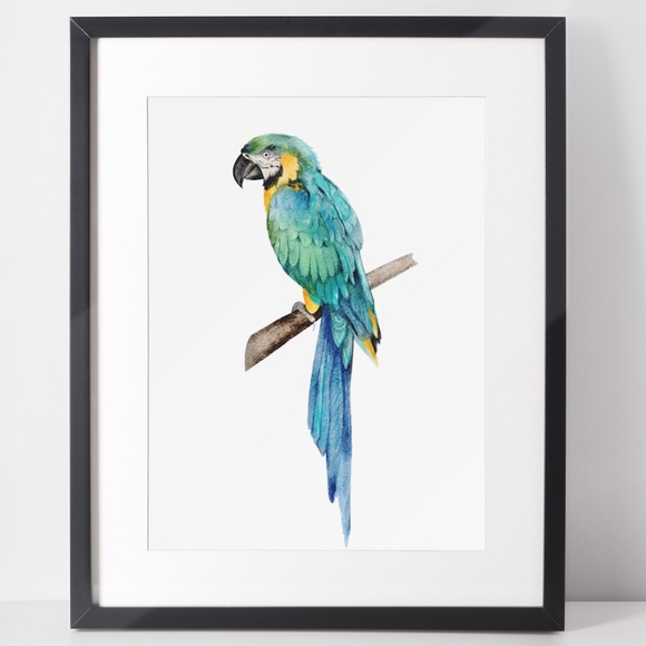 Other - Wall Art Tropical Macaw Bird Portrait Print Unframed